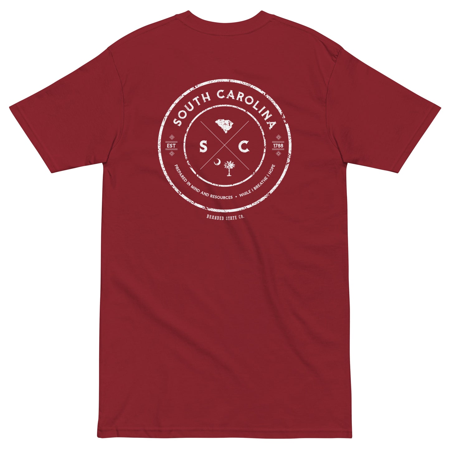 South Carolina t-shirt with cool design