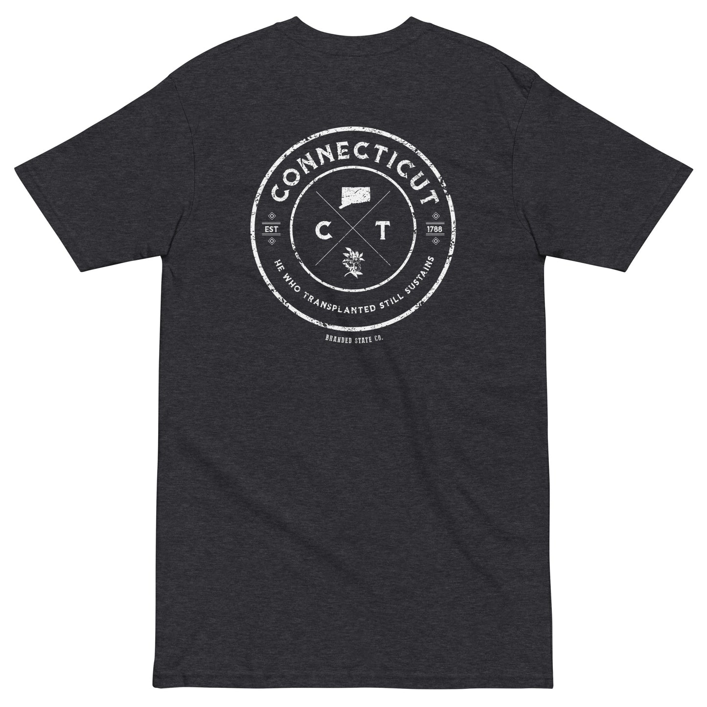 Connecticut t-shirt with cool design