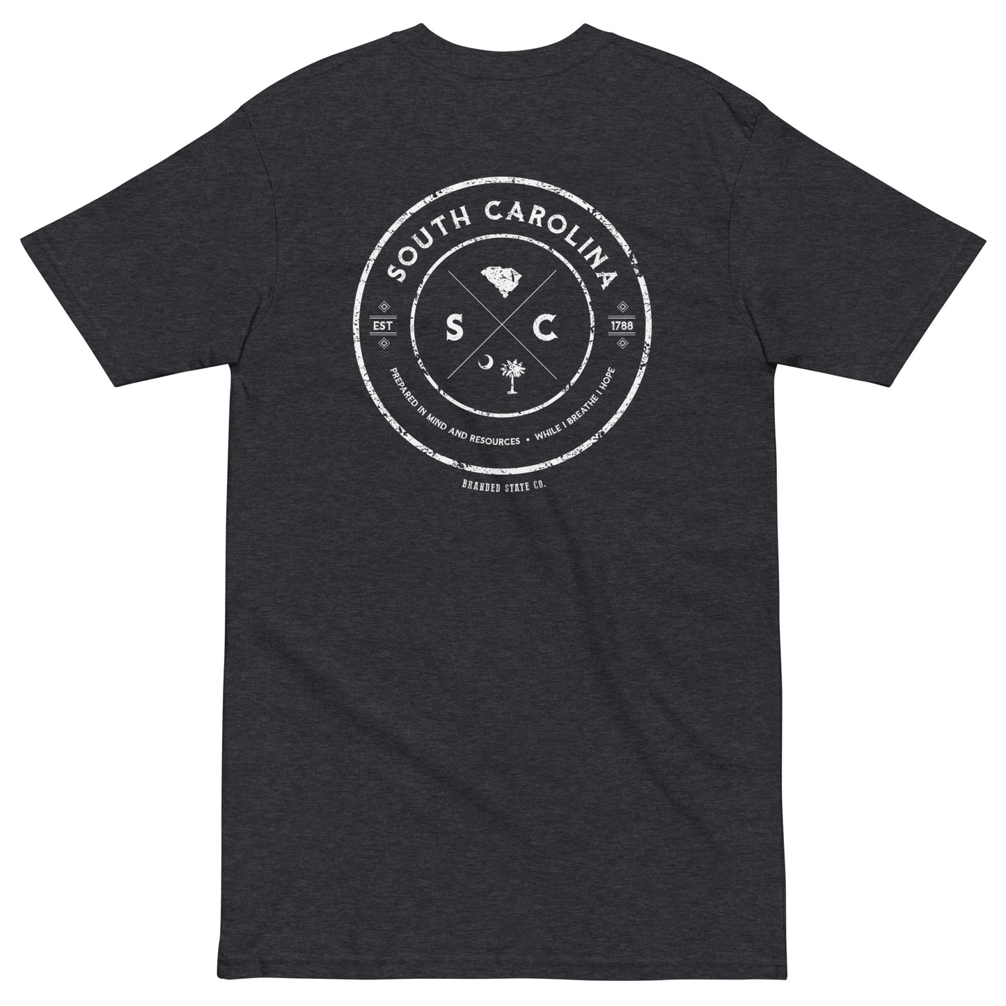 South Carolina t-shirt with cool design