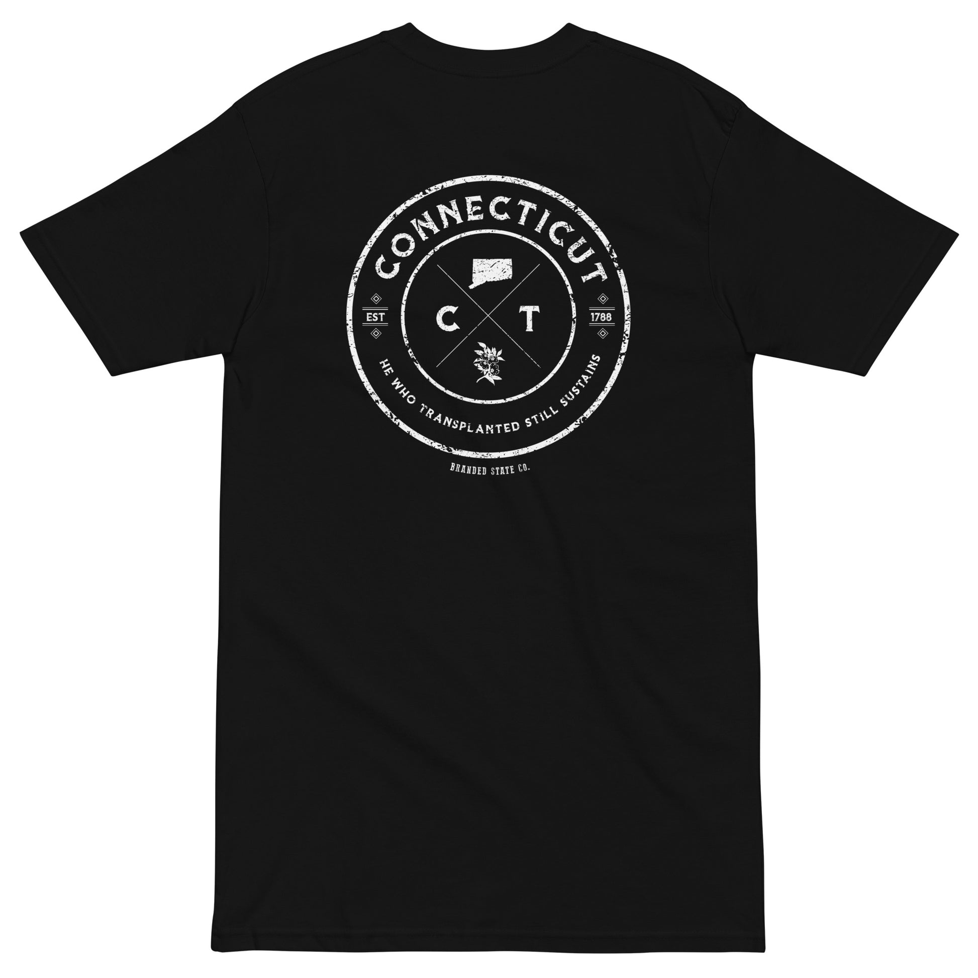 Connecticut t-shirt with cool design