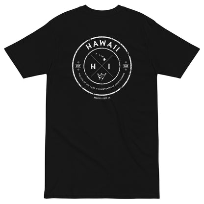 Hawaii t-shirt with cool design