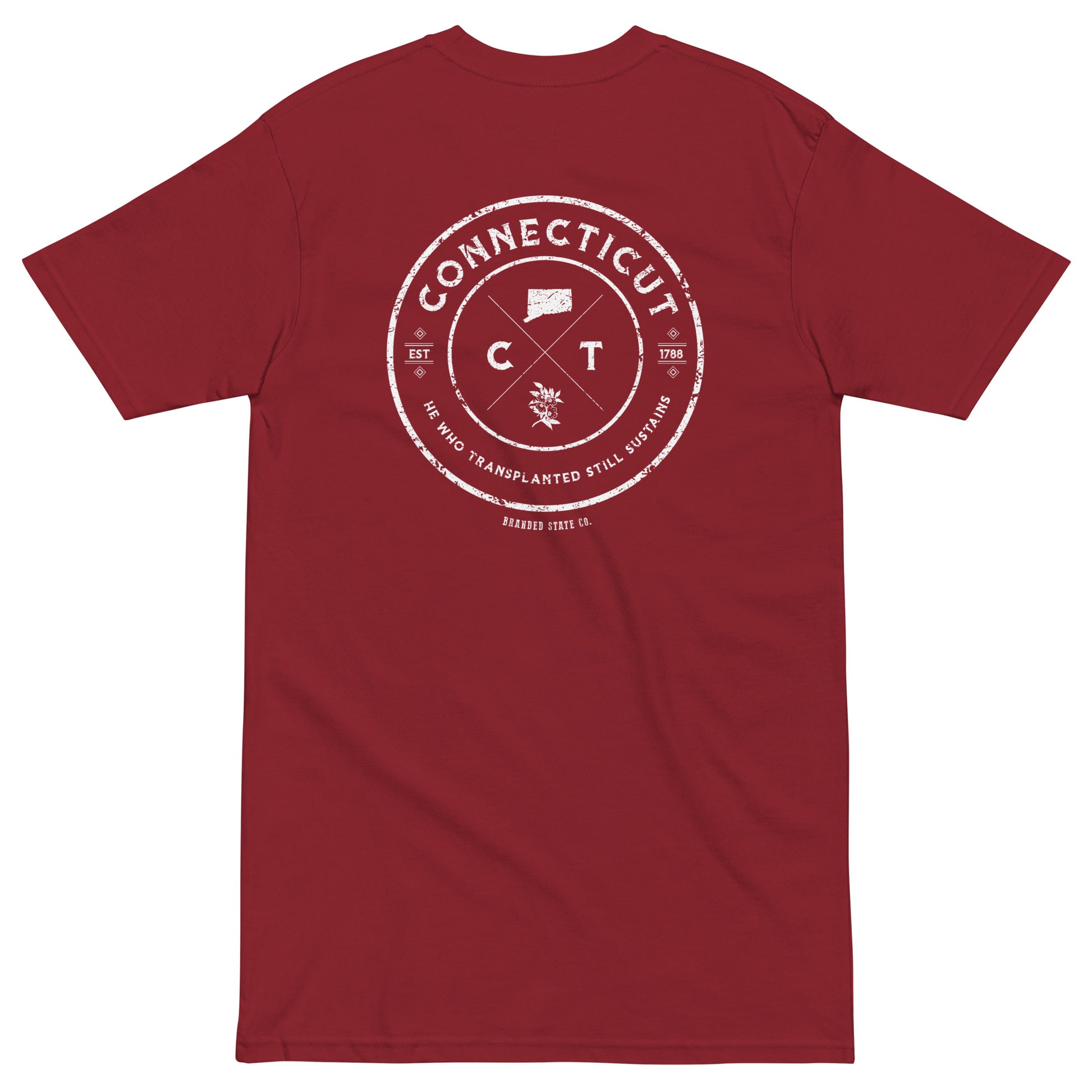 Connecticut t-shirt with cool design