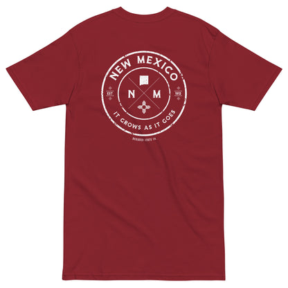 New Mexico t-shirt with cool design
