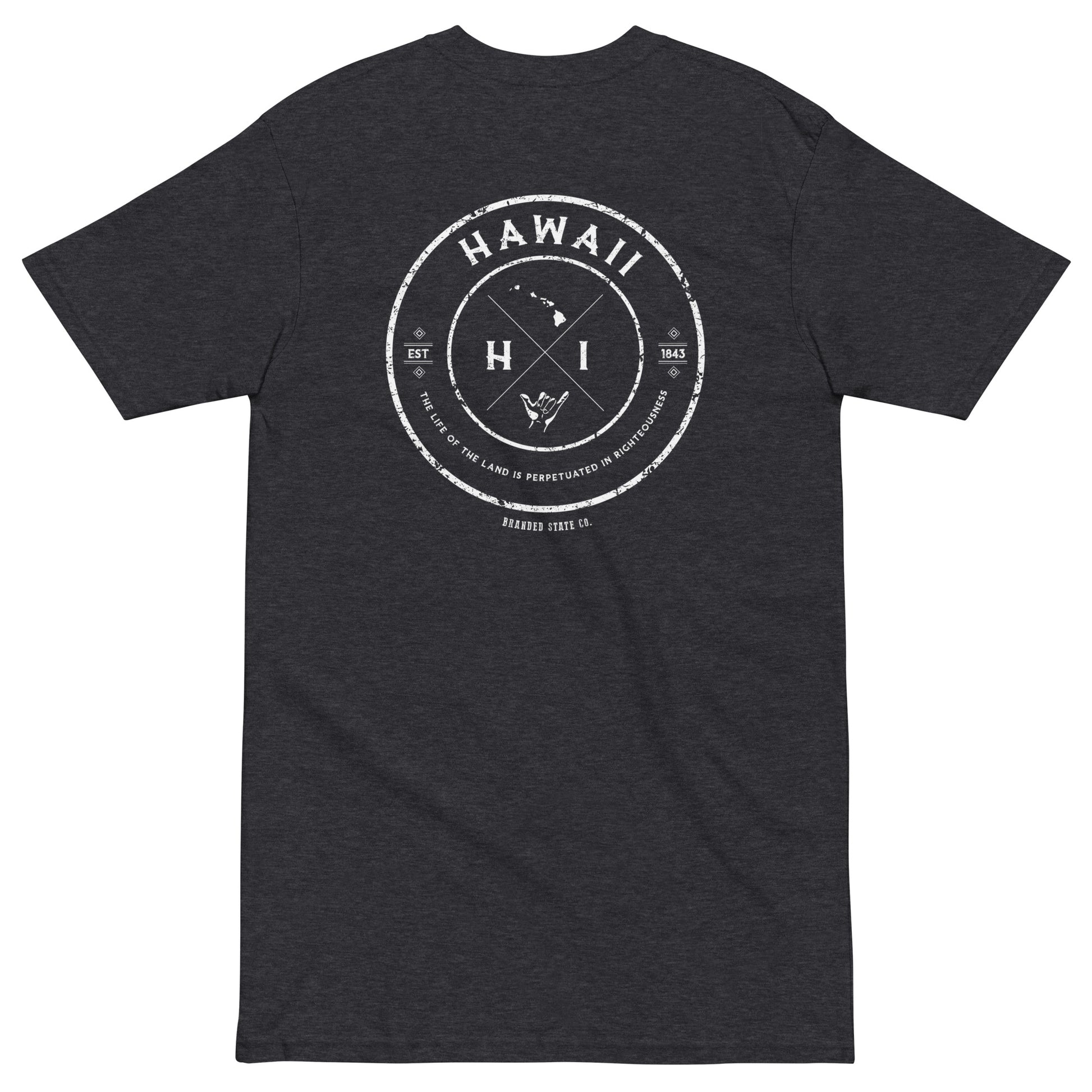 Hawaii t-shirt with cool design
